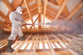 Best Eco-Friendly or Green Insulation Solutions  in Cayuga, IN