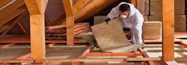 Best Attic Insulation Installation  in Cayuga, IN