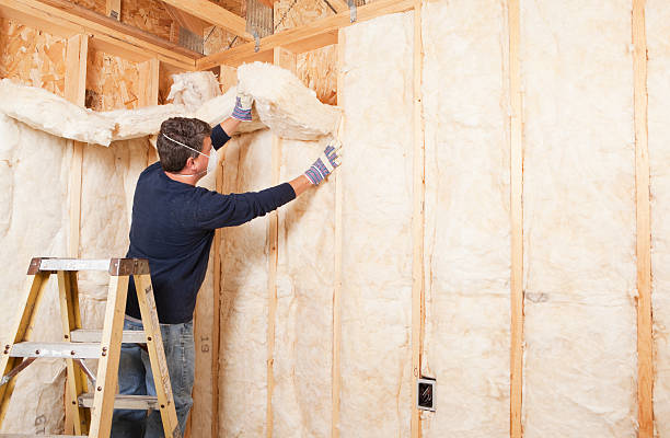 Best Blown-In Insulation  in Cayuga, IN